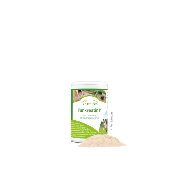 PerNaturam Pankreatin P