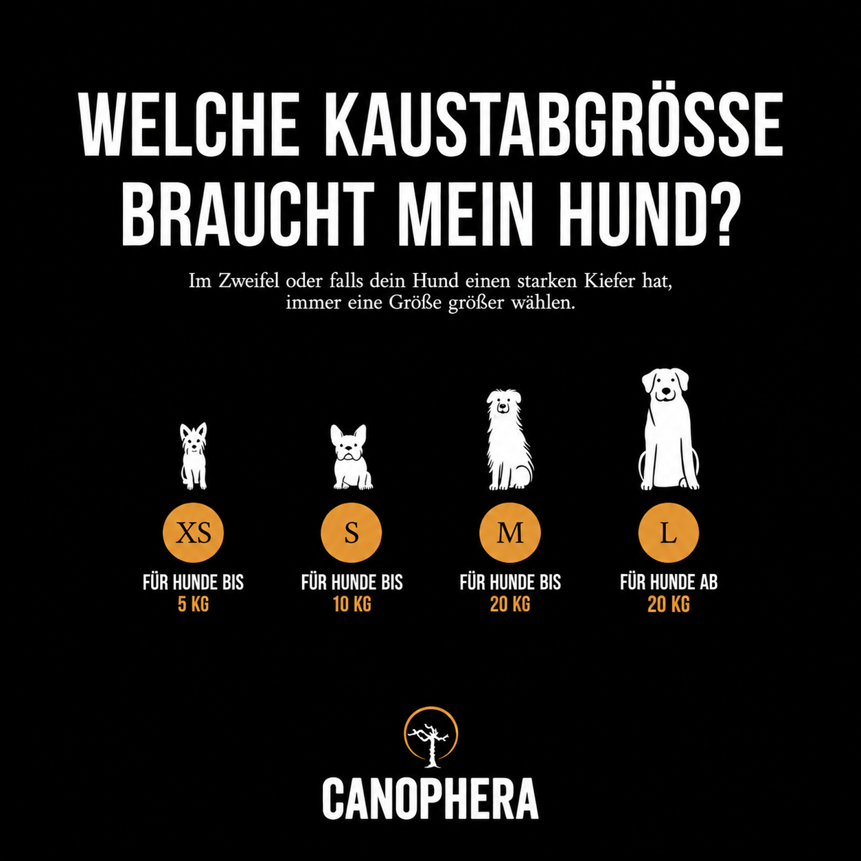 Canophera Kaffeeholz