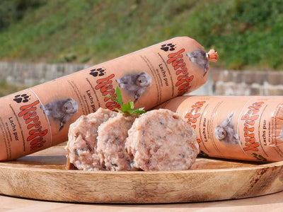 HappyPets Lachs Pur – 500g Frost-Wurst für Regional-Tour & Laden