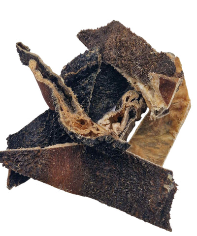 Rinderpansen getrocknet