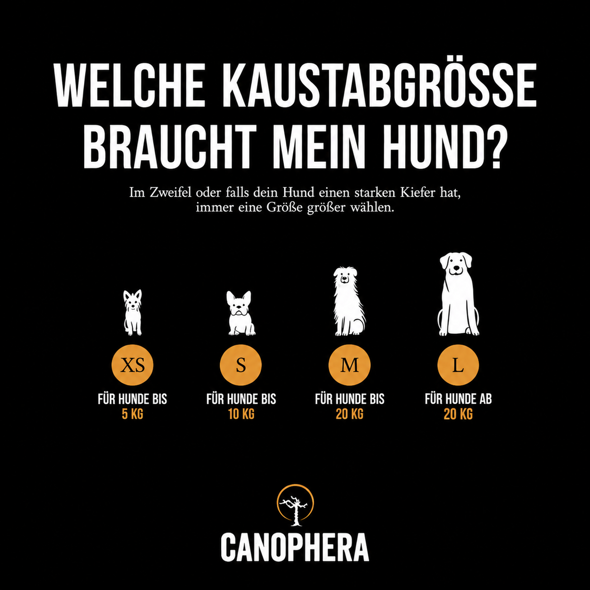 Canophera Kaffeeholz