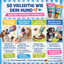 Hundejoghurt Tubes Schlecksnack für Hunde | Cold & Dog