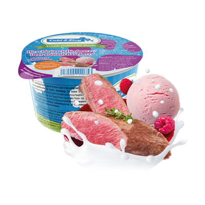 Probiotisches Hunde-Eis – Frozen Joghurt im Becher für unsere Regional-Tour