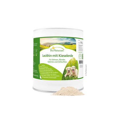 PN Lecithin mit Kieselerde