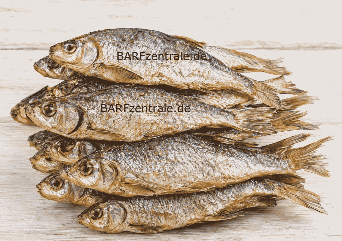 Getrocknetes Rotauge für Hunde – Ganzes Fischchen (Wiegeware)