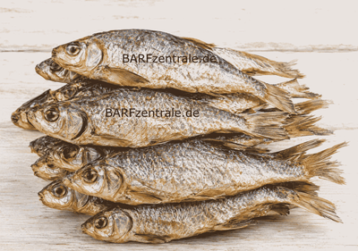Getrocknetes Rotauge für Hunde – Ganzes Fischchen (Wiegeware)
