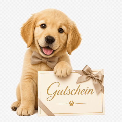 Gutscheine