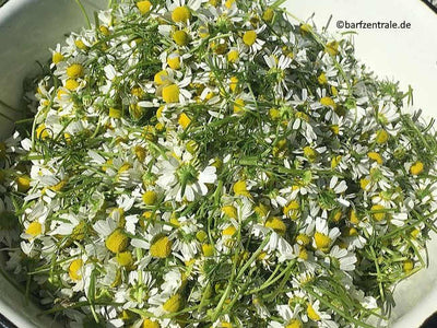 RB BIO-Kamillenblüten gemahlen
